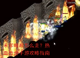 δ֪������ô�ߣ���Ѫ�������ι���ָ��