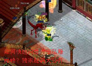 如何快速问鼎传奇私服巅峰?独家秘籍大公开 如何快速问鼎传奇私服巅峰?独家秘籍大公开
