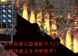 ����˽��������������ţ���ο������ִ������磿
