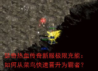 ɪ����Ѫ�����·����޳��ܣ���δӲ�����ٽ���Ϊ���ߣ�