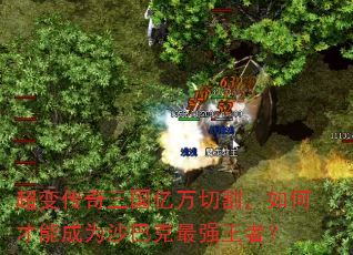 ���䴫�����������и��β��ܳ�Ϊɳ�Ϳ���ǿ���ߣ�