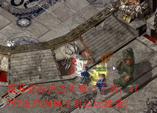 �¿���̬��Ѫ����sf���Σ�sf999������������ô����ǿ��