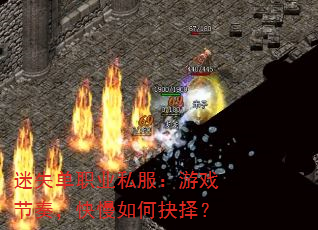 ��ʧ��ְҵ˽������Ϸ���࣬������ξ���