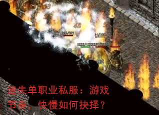 ��ʧ��ְҵ˽������Ϸ���࣬������ξ���