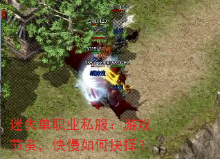 ��ʧ��ְҵ˽������Ϸ���࣬������ξ���