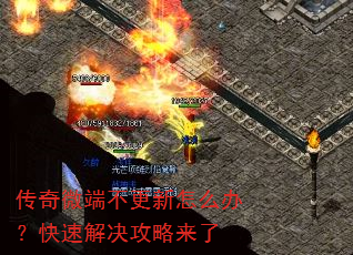 ����΢�˲�������ô�죿���ٽ����������