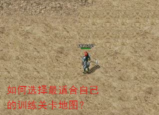 ���ѡ�����ʺ��Լ���ѵ���ؿ���ͼ��