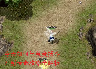 ���������ƽ𲫶����´��湥��ȫ����