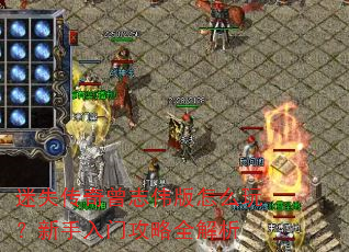 ��ʧ������־ΰ����ô�棿�������Ź���ȫ����