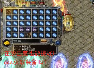 ��ɳ�Ϳ�Ҳ����սboss��ȡװ����