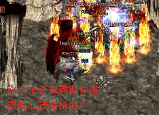 �ķ����������������ְҵ���ܾ��裿