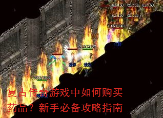 ���Ŵ�����Ϸ����ι���ҩƷ�����ֱر�����ָ��