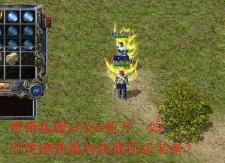 ����˽��sf666�¿�����ο����������ȡ����װ����