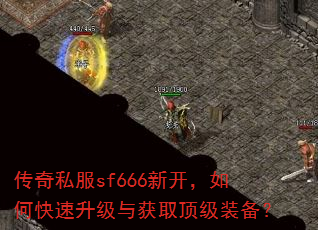����˽��sf666�¿�����ο����������ȡ����װ����