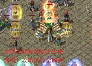 ��θ�Ч�������Ŵ������������Լ���ȫ����