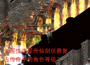 ��ο��������ɽ����͸��Ŵ����еĽ�ɫ�ȼ���