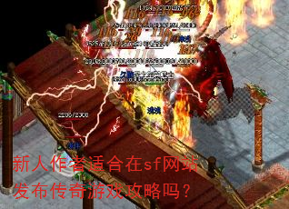 ���������ʺ���sf��վ����������Ϸ������
