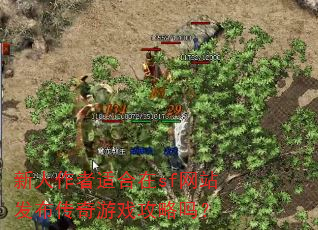 新人作者适合在sf网站发布传奇游戏攻略吗? 新人作者适合在sf网站发布传奇游戏攻略吗?