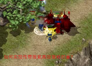 ���ʵ�ִ���΢봸�Ч��ש���