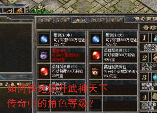 如何快速提升武神天下传奇中的角色等级? 如何快速提升武神天下传奇中的角色等级?