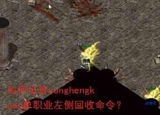 �������yonghengkuan��ְҵ���������