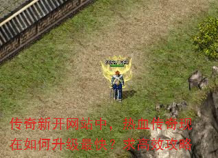 �����¿���վ�У���Ѫ�����������������죿���Ч����