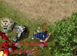 为什么热血传奇私服网站总是打不开? 为什么热血传奇私服网站总是打不开?