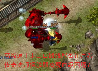 高级道士走出口路线能否让月卷传奇法师摆脱弱鸡瘦血级困境? 高级道士走出口路线能否让月卷传奇法师摆脱弱鸡瘦血级困境?