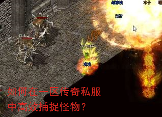 如何在一区传奇私服中高效捕捉怪物? 如何在一区传奇私服中高效捕捉怪物?
