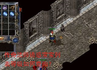 传奇法师诱惑宝宝列表等级如何查询? 传奇法师诱惑宝宝列表等级如何查询?