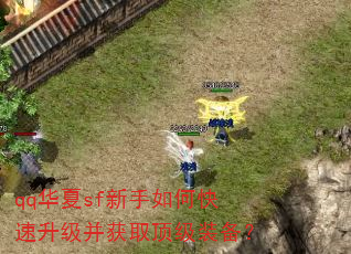 qq华夏sf新手如何快速升级并获取顶级装备? qq华夏sf新手如何快速升级并获取顶级装备?