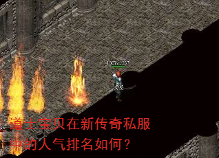 道士宝贝在新传奇私服中的人气排名如何? 道士宝贝在新传奇私服中的人气排名如何?