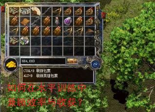如何在水平训练中兼顾效率与收获? 如何在水平训练中兼顾效率与收获?