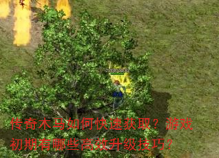 传奇木马如何快速获取?游戏初期有哪些高效升级技巧? 传奇木马如何快速获取?游戏初期有哪些高效升级技巧?