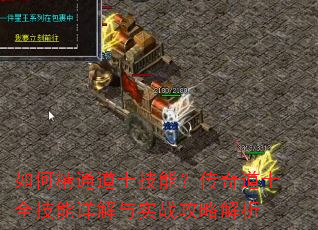 如何精通道士技能?传奇道士全技能详解与实战攻略解析 如何精通道士技能?传奇道士全技能详解与实战攻略解析