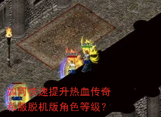 如何快速提升热血传奇私服脱机版角色等级? 如何快速提升热血传奇私服脱机版角色等级?