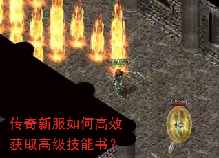 �����·���θ�Ч��ȡ�߼������飿