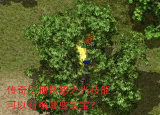 ���淨ʦ�ջ�֮�⼼�ܿ����ٻ���Щ������