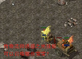 ���淨ʦ�ջ�֮�⼼�ܿ����ٻ���Щ������